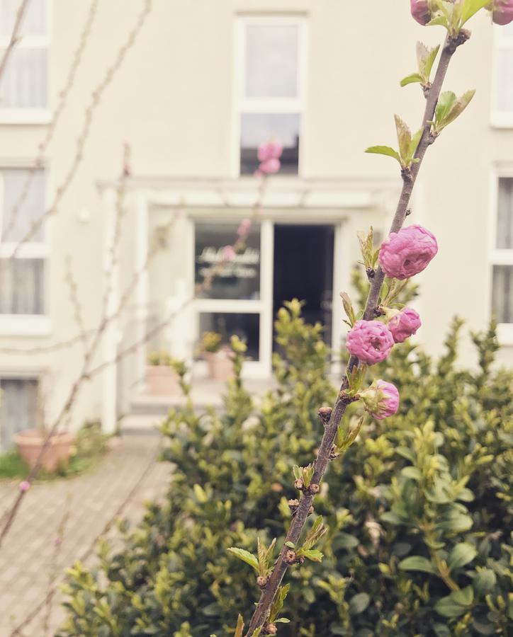 Hotel Gramlich Heddesheim Εξωτερικό φωτογραφία